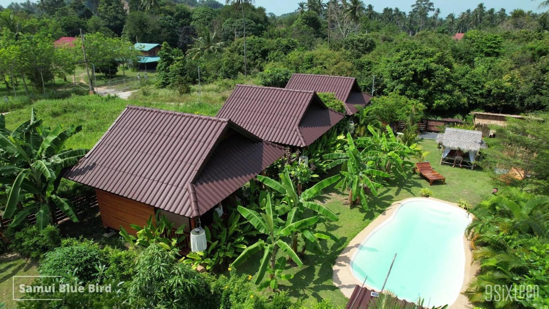 Samui Blue Bird Bed & Breakfast Mae Nam Exterior foto